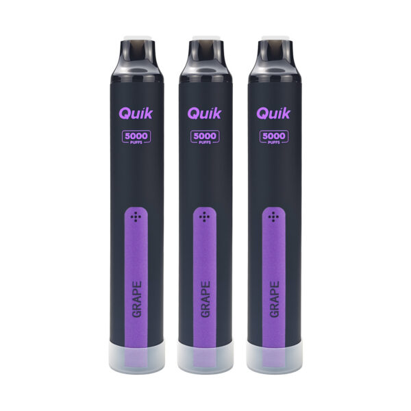 QUIK Mint Disposable Vape (3-Pack) – Grape , Up to 5,000 Puffs