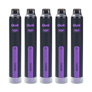 QUIK Mint Disposable Vape (5-Pack) – Grape , Up to 5,000 Puffs