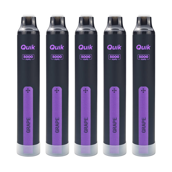 QUIK Mint Disposable Vape (5-Pack) – Grape , Up to 5,000 Puffs