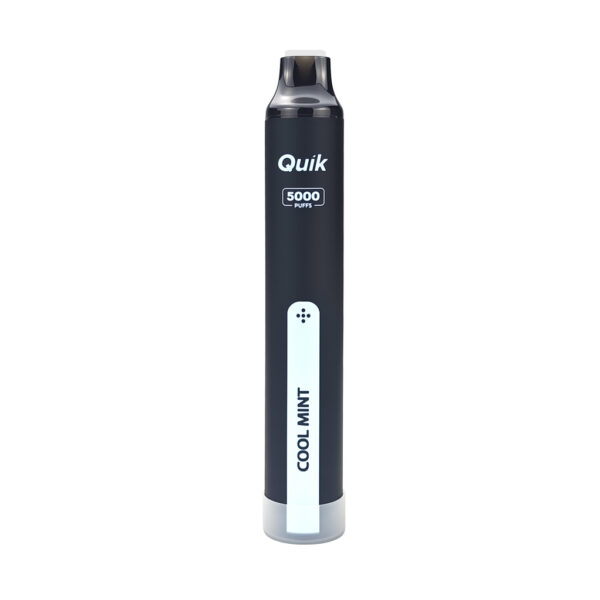 QUIK Mint Disposable Vape – Coconut Ice Flavour, Up to 5,000 Puffs