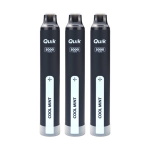 QUIK Mint Disposable Vape (3-Pack) – Cool Mint, Up to 5,000 Puffs