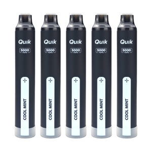 QUIK Mint Disposable Vape (5-Pack) – Cool Mint, Up to 5,000 Puffs
