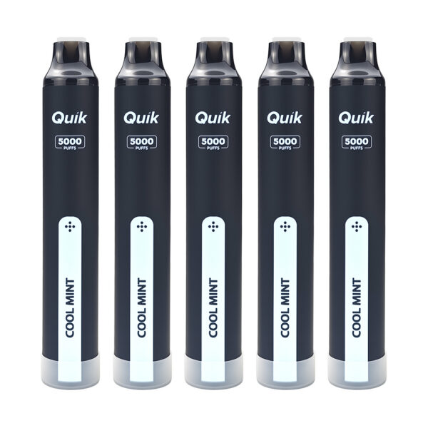 QUIK Mint Disposable Vape (5-Pack) – Cool Mint, Up to 5,000 Puffs